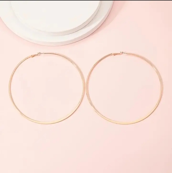 Diana Hoops-18k Brushed Gold Plated main image 1